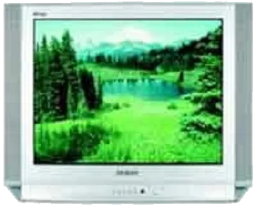 Замена разъема питания Samsung CS-29D8 WTR